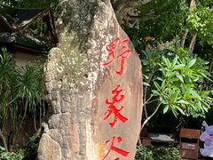 -野象谷景区