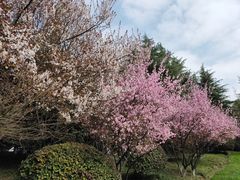 -荆川公园