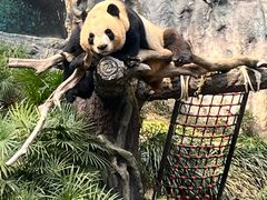-石排湾郊野公园
