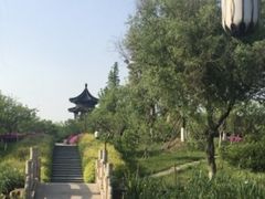 -黄桥古镇