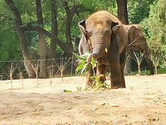 -北京野生动物园
