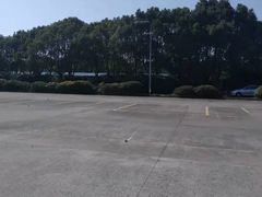 -安飞驰驾校·学车连锁(金高店)