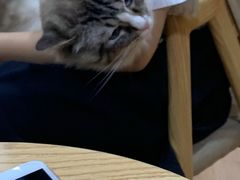 -白兔子密室(长寿路店)