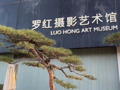 -罗红摄影艺术馆