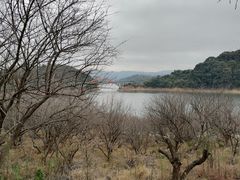 -广州市流溪河国家森林公园