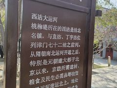 -桃花堤公园