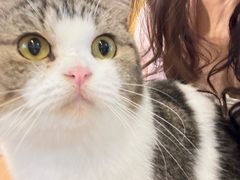 -喵小馆·猫咖狗咖猪咖·饮品店