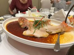 -金粤九号(李公堤店)