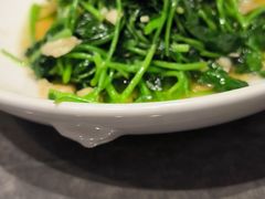 -新海渔港·胶东海鲜家常菜·家宴(奥体中心店)