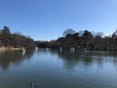 -井之头恩赐公园