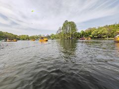 -上海共青森林公园