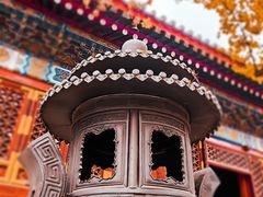 -香山公园