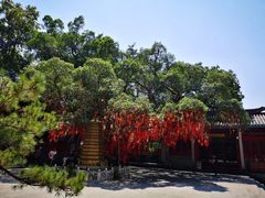 -国恩寺