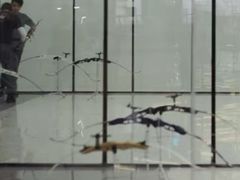 -道顺射箭·团建·骑射(张杨路店)