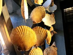 -鑫釜山海鲜烧烤(鑫丰国际店)