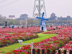 -盈香心动乐园