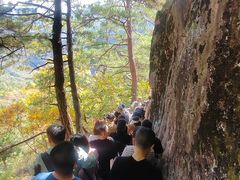 -五女峰国家森林公园