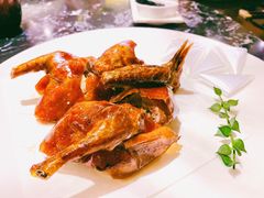 -甄御•海鲜新青岛菜(麦岛店)