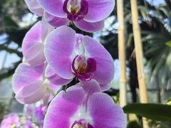 -石家庄市植物园