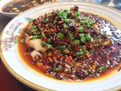 -胖大姐黄辣丁鱼庄(新津店)