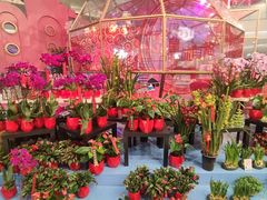 -凯德广场(学府店)