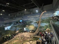 -自贡恐龙博物馆