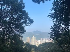 -梧桐山风景名胜区