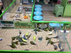 -北京华联购物中心(同成街店)