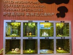 -芸山季·云南野生菌火锅(宝能环球汇店)