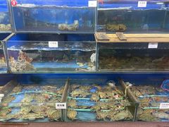 -张树军海鲜(王府壹号店)