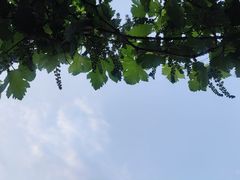 -北京阅微庄四合院文化特色酒店