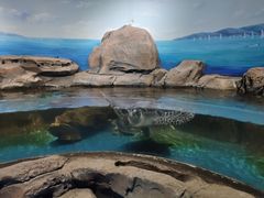 -沙沙哗啦海洋馆(华宇百花谷店)