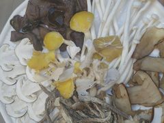 -大理董·董家小厨野生菌火锅(古城旗舰店)