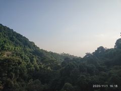 -火炉山森林公园