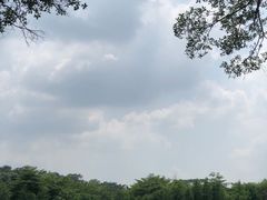 -东莞植物园