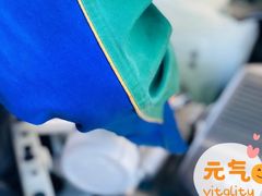 -耐跑(万达广场店)