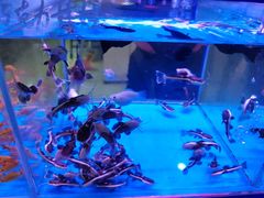 -三旗百汇商品城