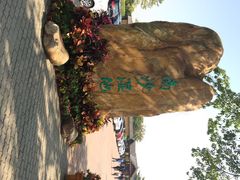iphone_upload_pic-大湾区中央湿地公园