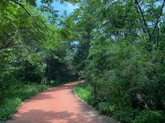 -长春市南湖公园