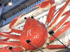 -蟹道乐(道顿堀本店)