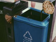 -白鹭湾湿地公园