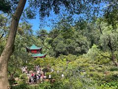 -岳麓山风景名胜区