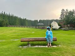 -黄海国家森林公园