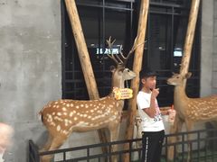 -东北风(柯桥万达店)