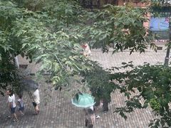 -华梅西餐厅(哈尔滨中央大街店)