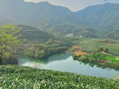 -龙坞茶村