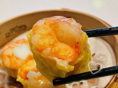 鲜虾烧卖皇-春满园·早茶·粤菜·宴会(前海店)