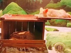 -绿色星球动物主题公园