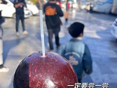 -苍山感通索道