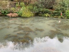-黔灵山公园